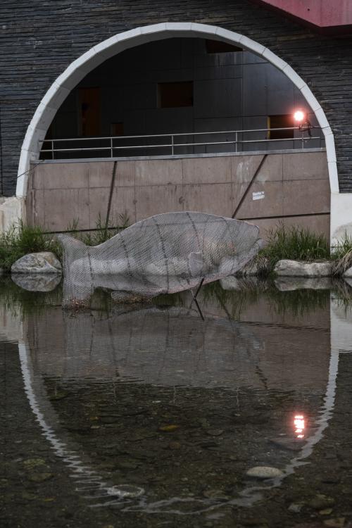 ESCÈNIC ARTS AIGÜES RESILIENTS