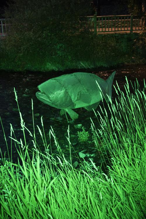 ESCÈNIC ARTS AIGÜES RESILIENTS