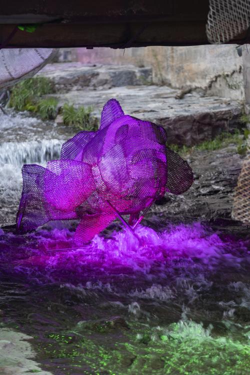 ESCÈNIC ARTS AIGÜES RESILIENTS