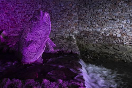 ESCÈNIC ARTS AIGÜES RESILIENTS