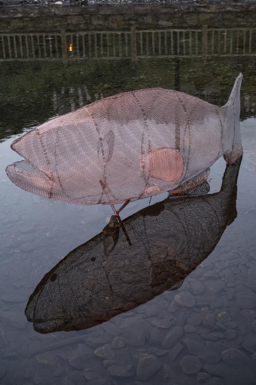 ESCÈNIC ARTS AIGÜES RESILIENTS