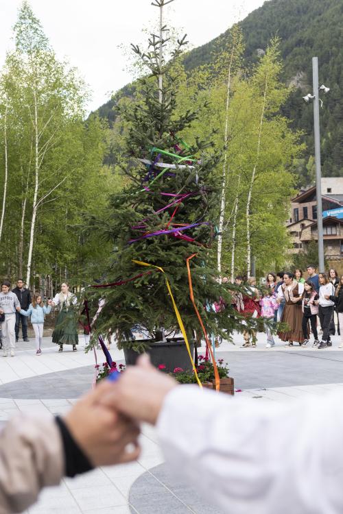 NIT BLANCA DELS MUSEUS I MONUMENTS