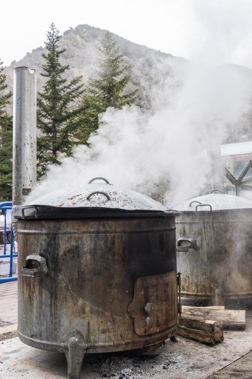 Vinanda Sant Antoni Canillo 2025