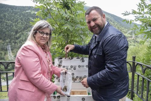 RANSOL FESTA MAJOR 2025