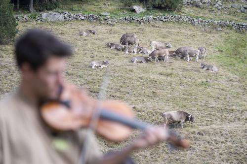 ESQUELLA INCLES WALKING MUSIC FESTIVAL