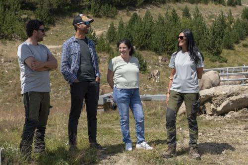 SANEJAMENT DE LA VACADA 2025