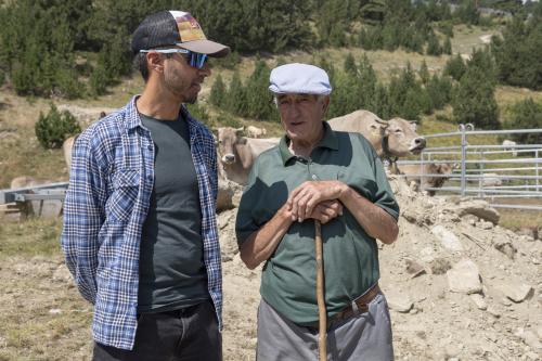 SANEJAMENT DE LA VACADA 2025