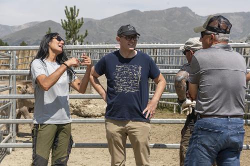 SANEJAMENT DE LA VACADA 2025