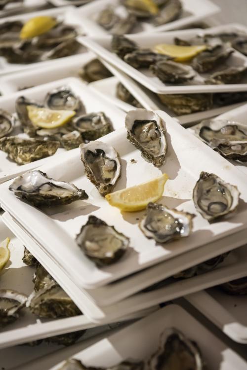 FESTA DE L'OSTRA 2025