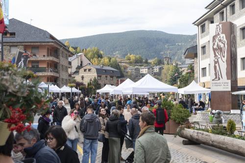 FIRA DE BESTIAR I ARTESANIA 2025