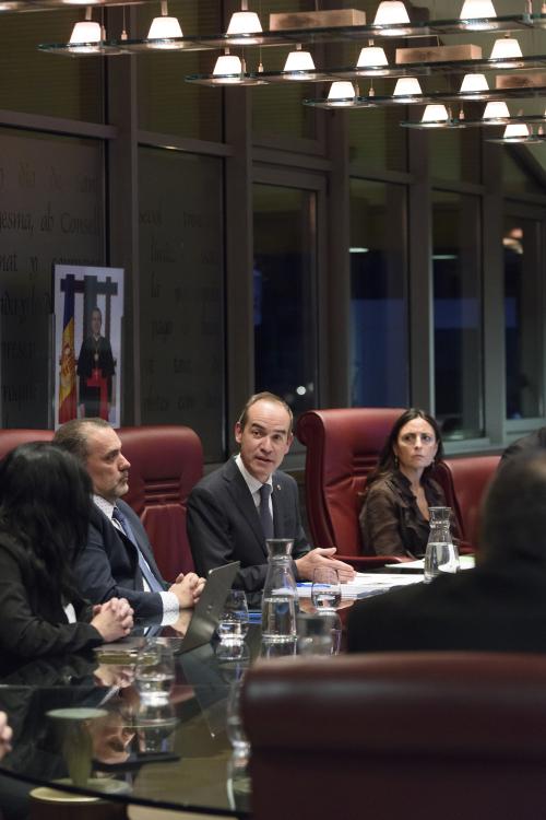 CONSELL DE COMÚ POUP