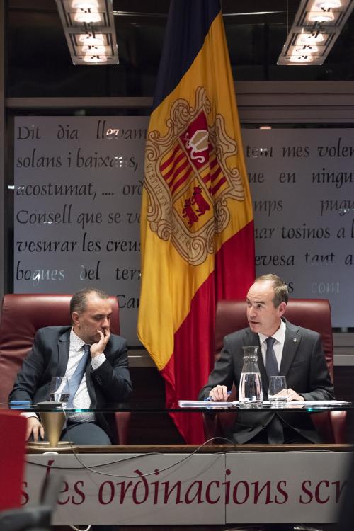 CONSELL DE COMÚ POUP