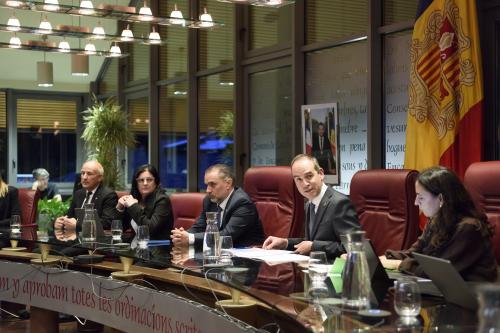 CONSELL DE COMÚ POUP