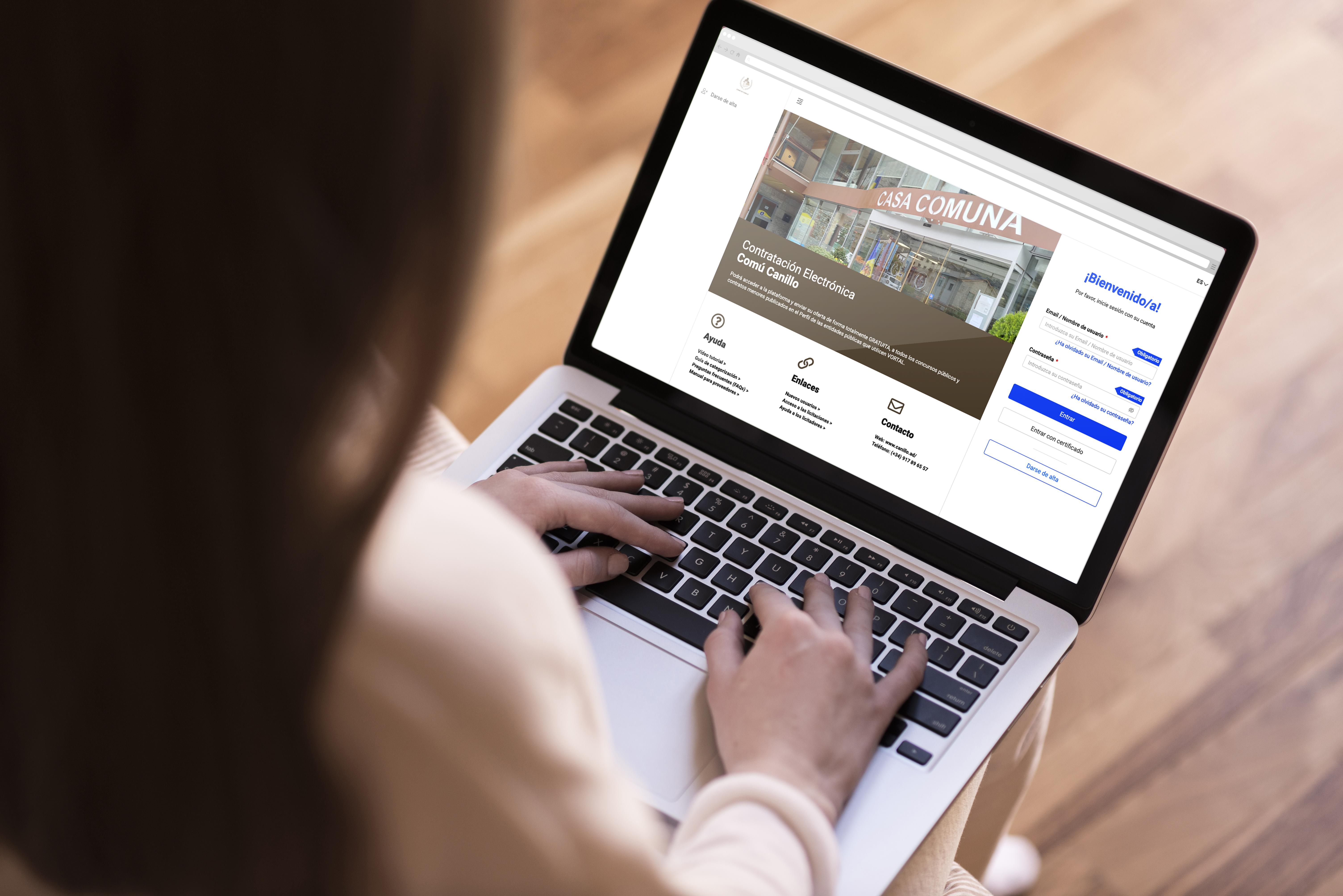 imageTitle mockup plataforma vortal web