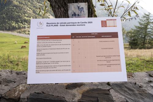 REUNIÓ DE VEÏNAT ELS PLANS