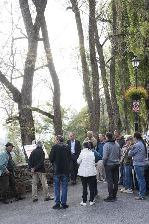 REUNIÓ DE VEÏNAT ELS PLANS