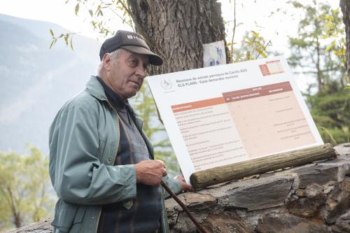 REUNIÓ DE VEÏNAT ELS PLANS