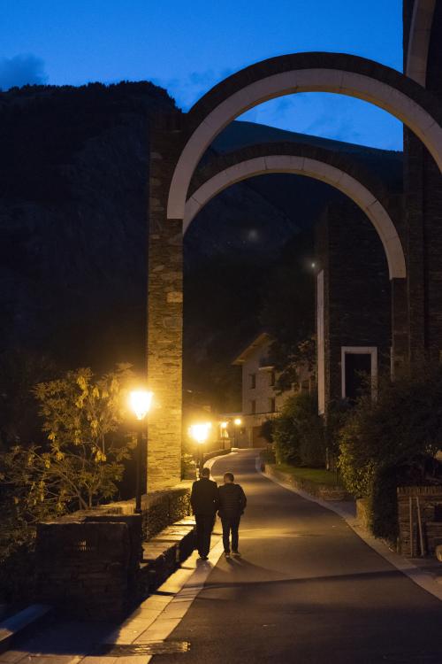 REUNIÓ DE VEÏNAT MERITXELL