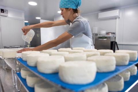 Presentació i degustació de formatges